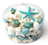 seashell gift pack extra large aqua